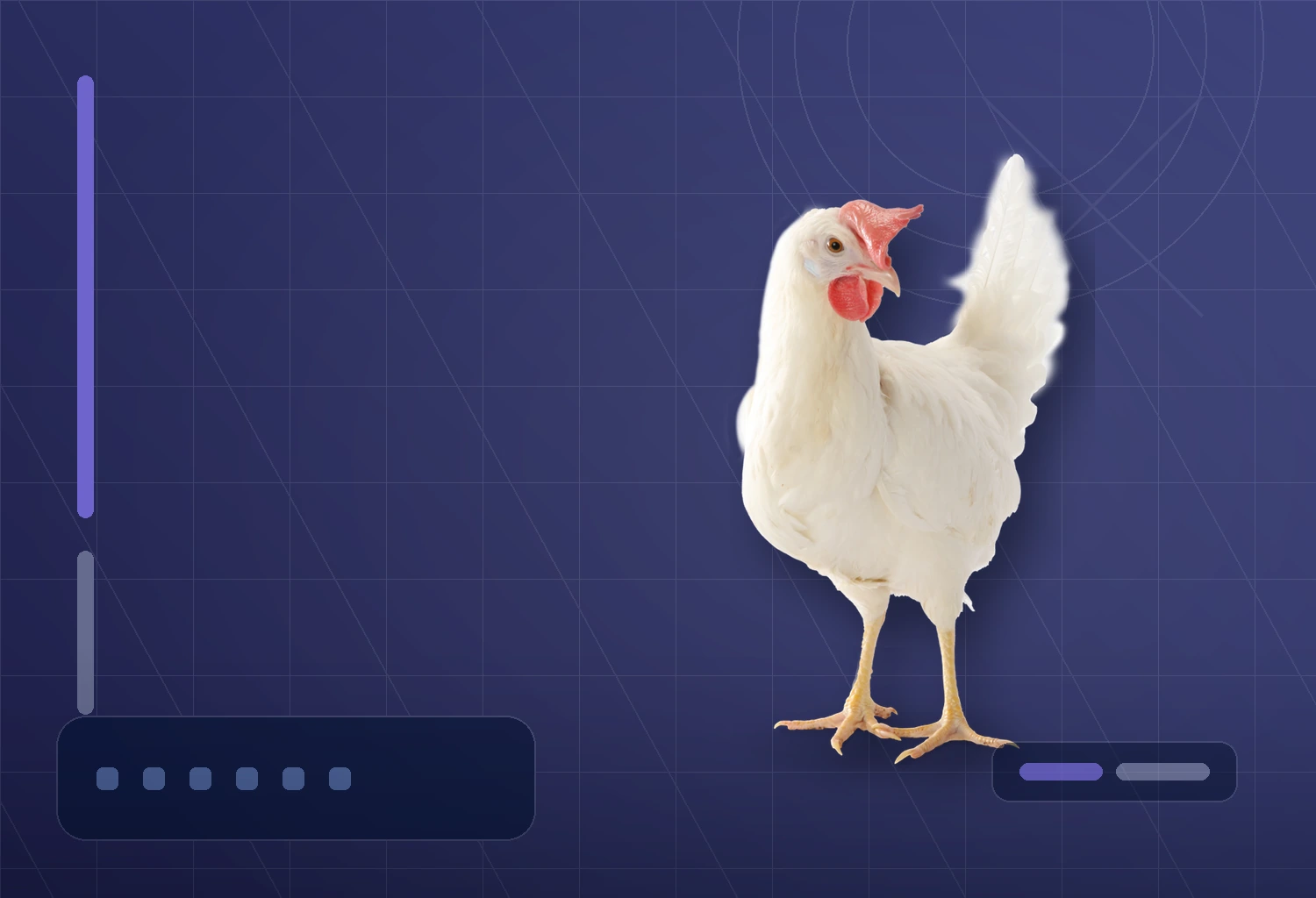 Pullet Training