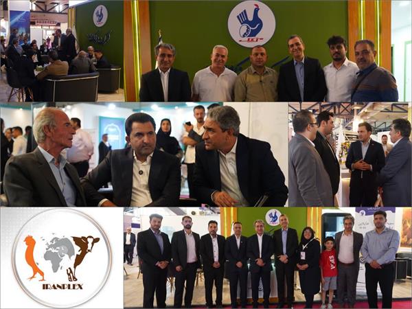حضور فعال شرکت مرغک در نمایشگاه دام و طیور مهرماه 1404