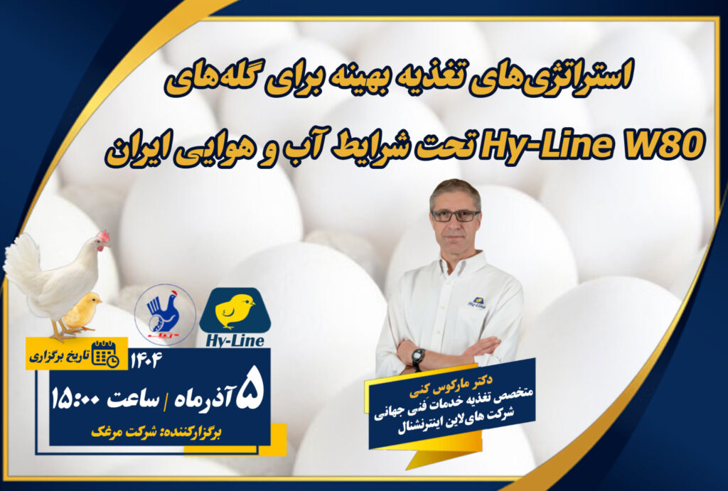 وبینار استراتژی تغذیه سویه W80 نژاد هایلاین