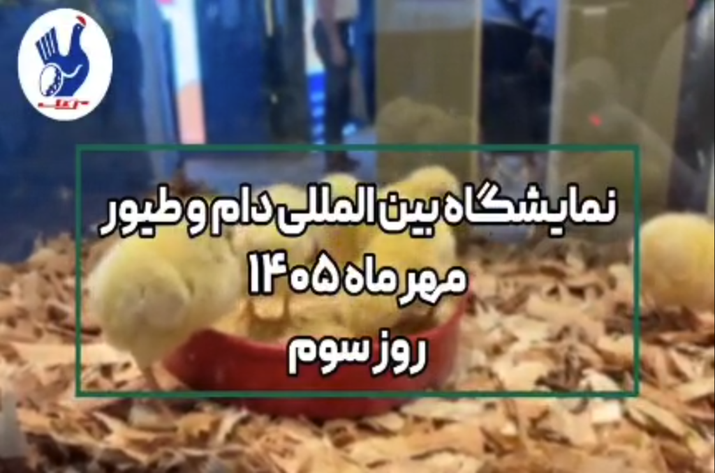 گزارش تصویری سومین روز غرفه شرکت مرغک در نمایشگاه بین المللی دام و طیور تهران
